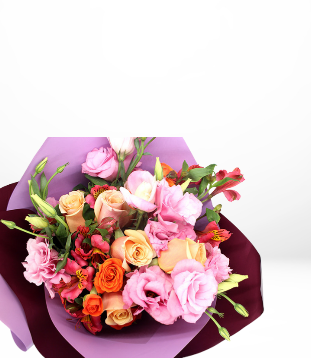 Bienvenidos a mi vida