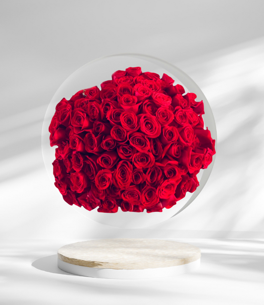 100 Rosas Un abrazo